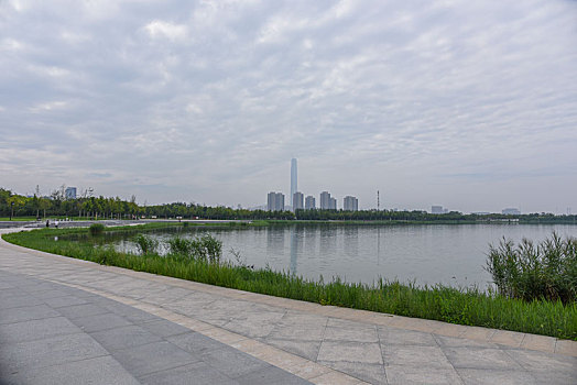 đá gà tre lai mỹ