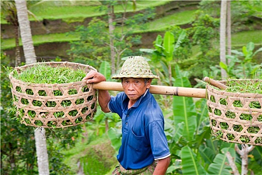 game bài binh 6 lá