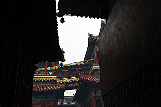 camera v99 giá rẻ