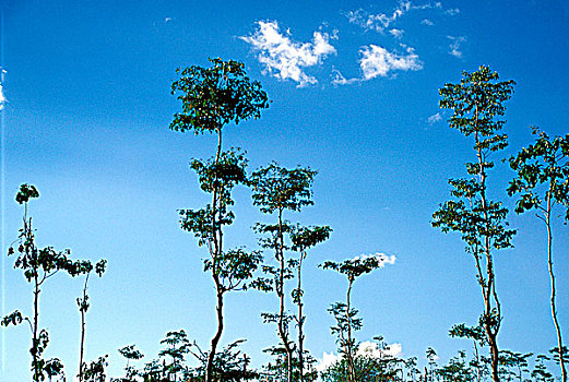 cambodia thailand border casino