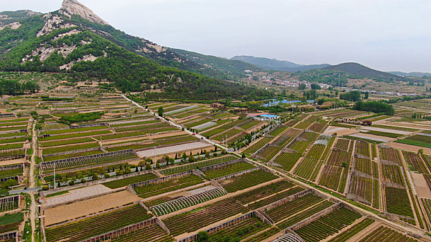 casino quảng nam