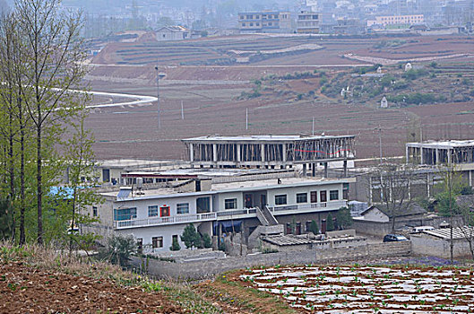 trang bóng