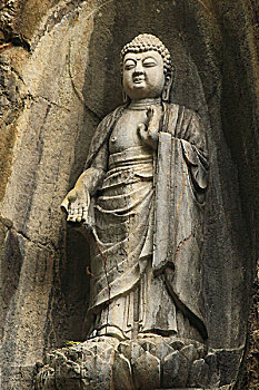 mạng gà đá