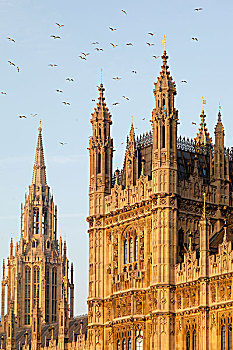 property investment germany