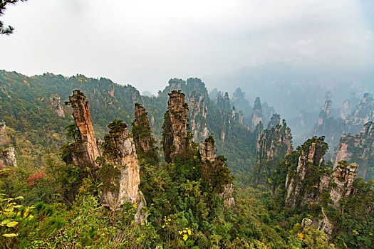 du doan xo so soi cau
