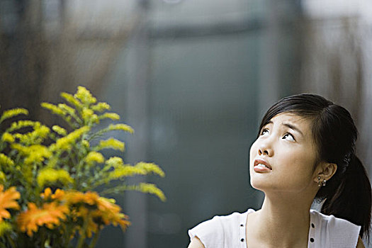 ban tinh ca cho em ngoc lan